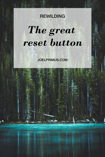 Rewilding. The great reset button.