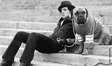 From Grind to Recovery: The Art of Doing Nothing